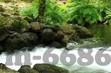 我的勇者九游版本下载-探寻我的勇者，九游版本下载之旅
